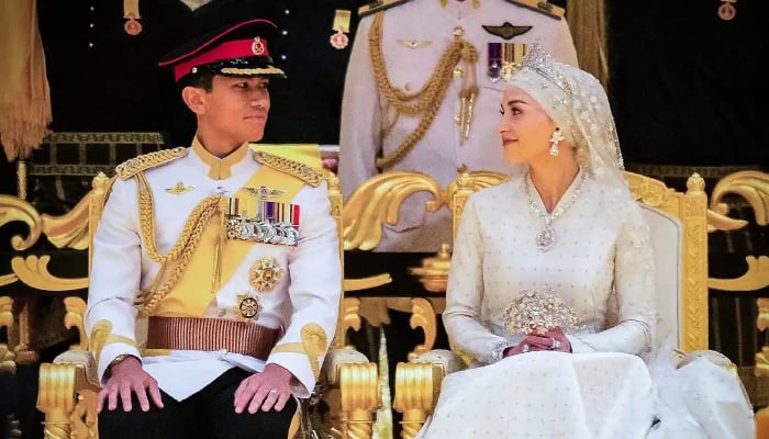 Prince Mateen of Brunei, Anisha Rosnah melt hearts with romantic pregnancy reveal