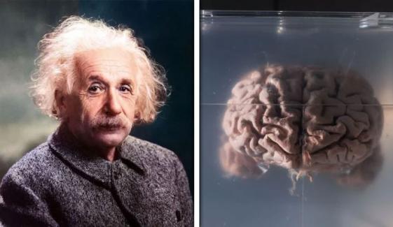 آئنسٹائن کا دماغ کس نے اور کیوں چوری کیا؟