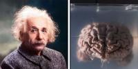 آئنسٹائن کا دماغ کس نے اور کیوں چوری کیا؟