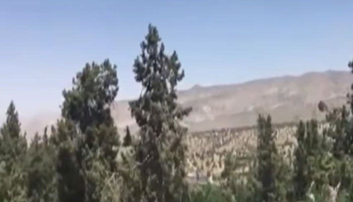 فائل فوٹو