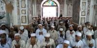 مسئلہ فلسطین حل, آج یوم تشکر منایا جائیگا