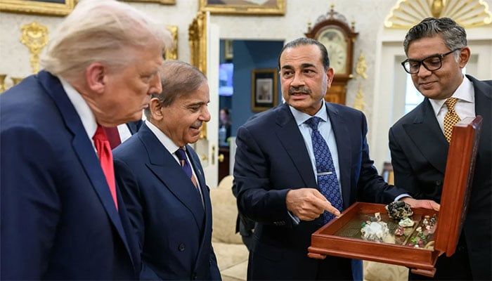 —تصویر بشکریہ غیر ملکی میڈیا