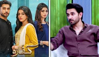 علی انصاری نے بلین ویوز حاصل کرنے کا فارمولا بتادیا