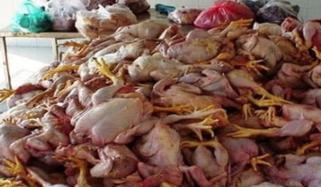 کراچی میں بریانی اور فاسٹ فوڈ کیلئے مردہ مرغیوں کے گوشت کی سپلائی کا انکشاف