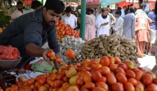 ملک میں ٹماٹروں کی قیمت بڑھنے کی وجہ سامنے آگئی