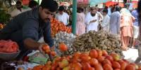ملک میں ٹماٹروں کی قیمت بڑھنے کی وجہ سامنے آگئی