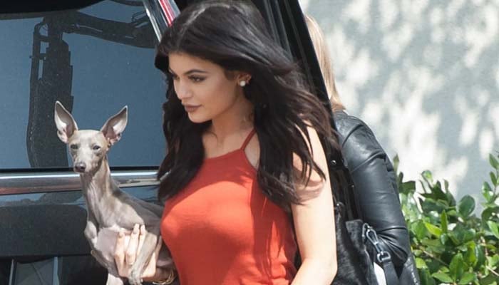 Kylie Jenner mourns heartbreaking loss of her beloved dog Norman