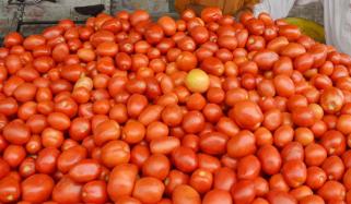 ٹماٹر کی قیمتوں میں کمی کب ہوگی؟