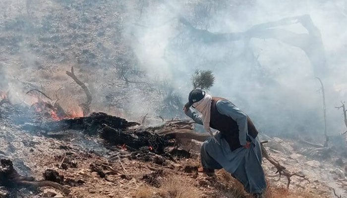 فائل فوٹو
