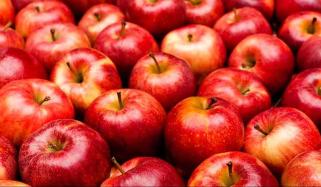 پابندی سے سیب کھانے کے صحت پر نہایت مفید اثرات