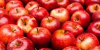 پابندی سے سیب کھانے کے صحت پر نہایت مفید اثرات