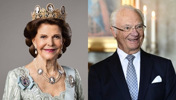 Swedens Queen Silvia attends major event after King Carls private meeting
