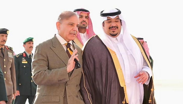 سوشل میڈیا، حکومت پاکستان