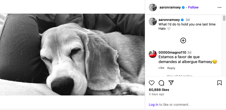 Aaron Ramsey offers huge reward to find beloved dog Halo