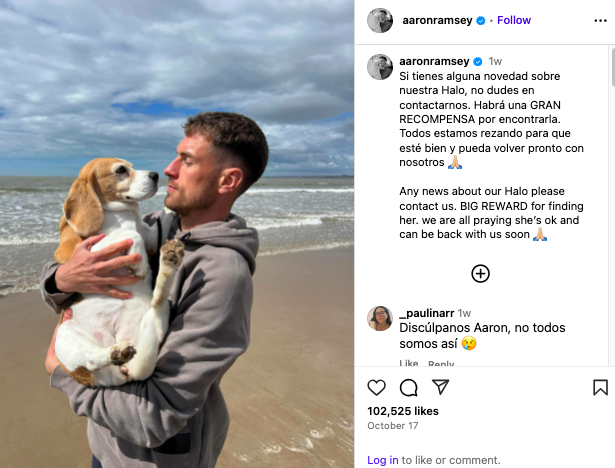 Aaron Ramsey offers huge reward to find beloved dog Halo