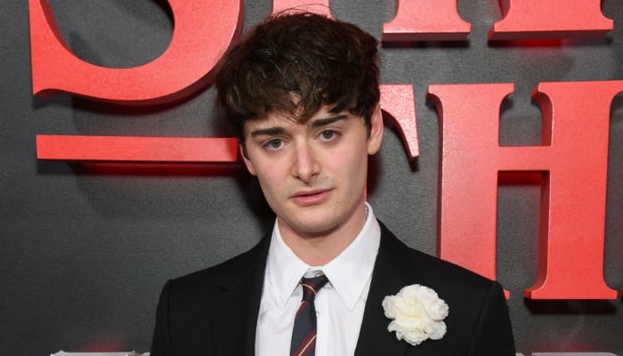 Stranger Things star Noah Schnapp drops huge clue ahead of season 5 finale