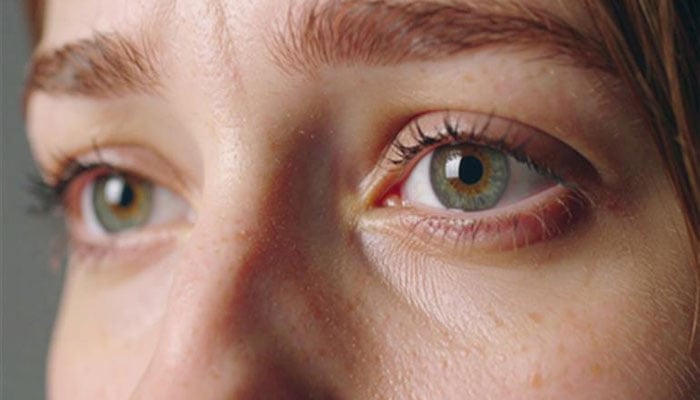 Blood vessels in eyes may assist reveal heart risk, study