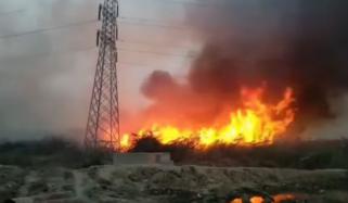 جامعہ کراچی کے عقب میں جھاڑیوں میں آگ لگ گئی