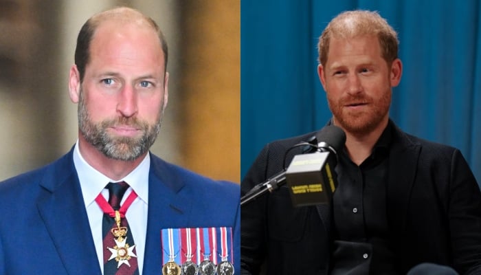 Prince William drops first statement after Harrys surprise Spare admission