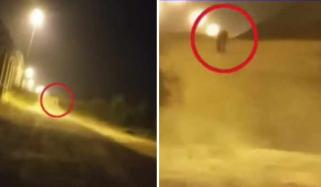 اسلام آباد ایئر پورٹ کار گو ایریا کے قریب تیندوا نکل آیا