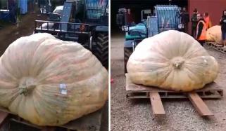 برطانوی جڑواں بھائیوں نے دنیا کا سب سے وزنی کدو کاشت کردیا