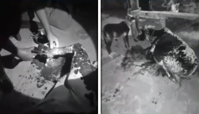 تصویر، جیو نیوز اسکرین گریب