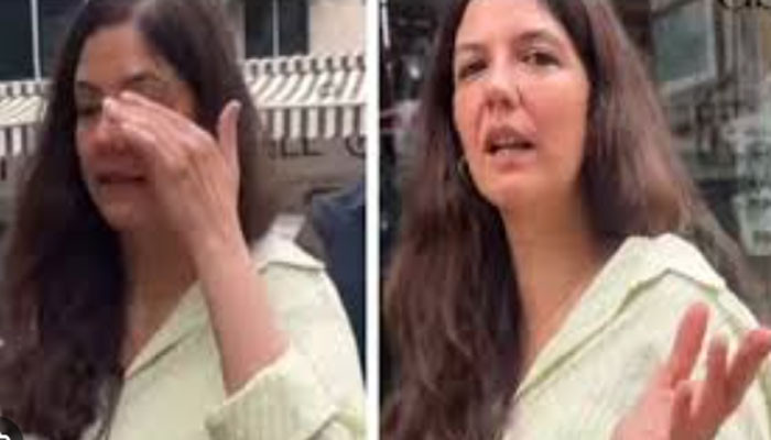 ’مجھے تنہا چھوڑ دیں‘ عامر خان کی گرل فرینڈ گوری سپراٹ پاپارازی پر ناراض ’مجھے تنہا چھوڑ دیں‘ عامر خان کی گرل فرینڈ گوری سپراٹ پاپارازی پر ناراض