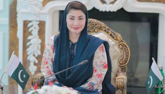 پنجاب حکومت کا غیر قانونی مقیم غیر ملکیوں کی سہولت کاری پر کڑی سزا دینے کا فیصلہ