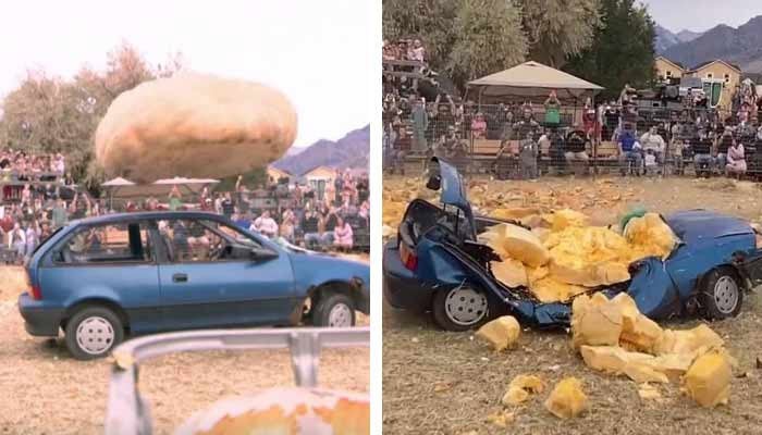 تصویر سوشل میڈیا۔