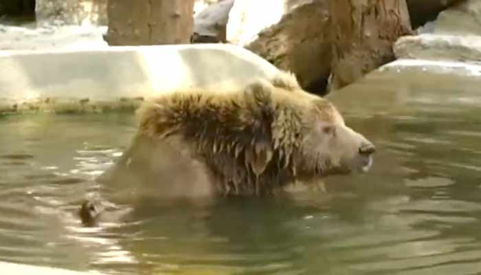 فوٹو: اسکرین گریب۔جیو نیوز