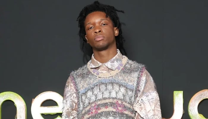 D4vd case takes dramatic turn as private investigator fires back at major outlets