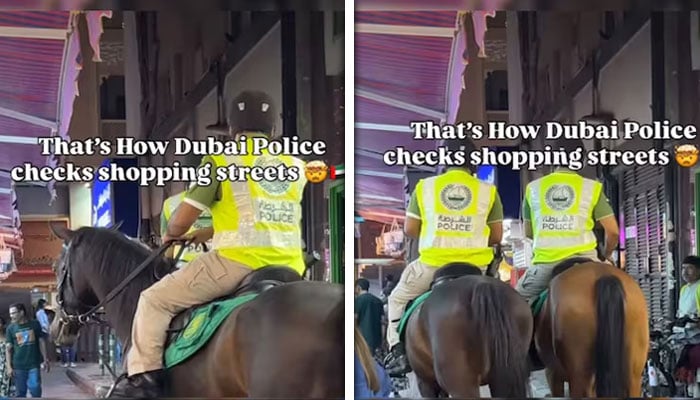 — اسکرین گریب