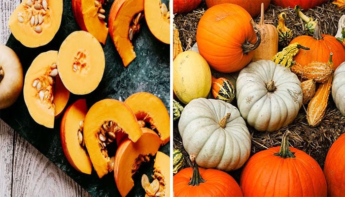 —فائل فوٹوز