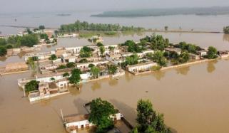 پاکستانی کسانوں کا جرمن کمپنیوں کیخلاف مقدمے کا اعلان
