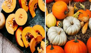 کدو غذائیت سے بھرپور سپر فوڈ