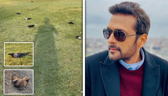 — تصاویر بشکریہ سوشل میڈیا