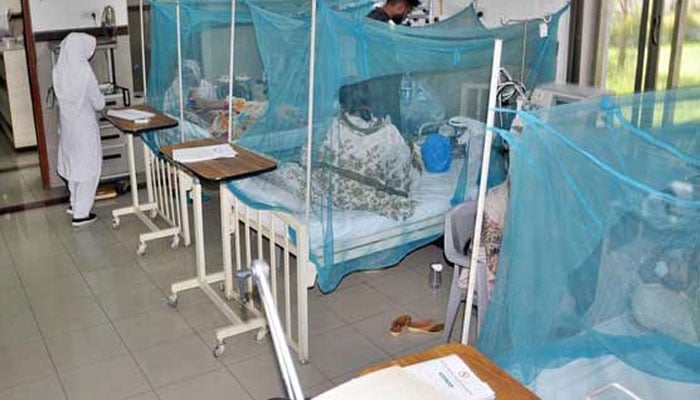 —فائل فوٹو