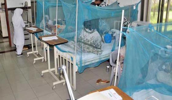 سندھ میں ڈینگی کے بڑھتے کیسز، پی ڈی ایم اے کا امدادی سامان روانہ