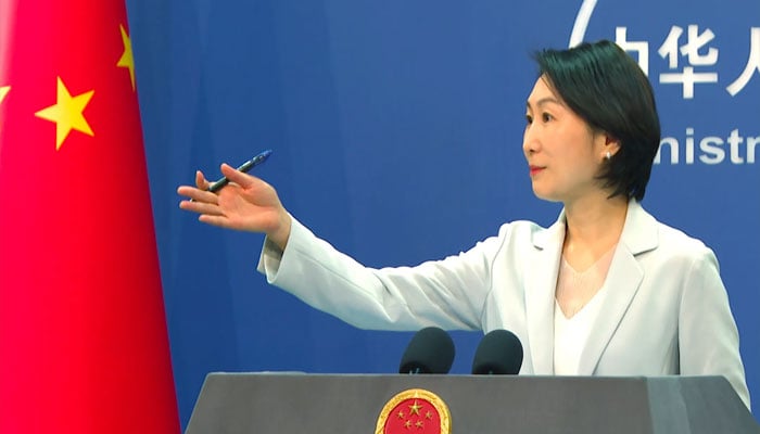 چینی دفترخارجہ ترجمان ماؤ ننگ—تصویر بشکریہ غیر ملکی میڈیا