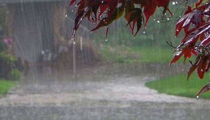 —فائل فوٹو