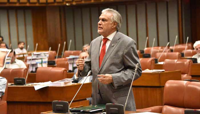 نائب وزیراعظم اور وزیر خارجہ اسحاق ڈار۔فوٹو: فائل