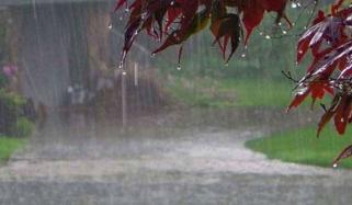 خیبر پختونخوا کے مختلف علاقوں میں آج سے بارشوں کا الرٹ جاری