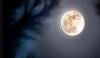 نومبر میں سال کا سب سے روشن سپر مون آسمان پر جلوہ گر ہوگا