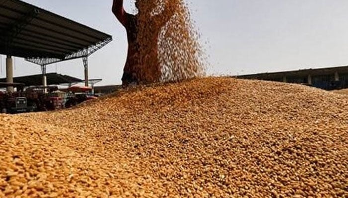 —فائل فوٹو