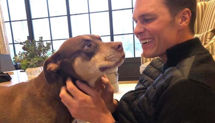 Tom Brady turns to cloning to bring back his late dog Lua as Pup Junie