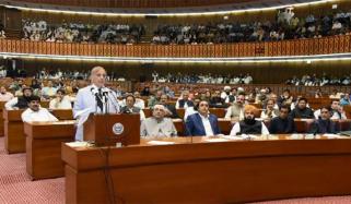 حکومت کو قومی اسمبلی میں آئینی ترمیم کے لیے 237 ارکان کی حمایت حاصل ہے، ذرائع