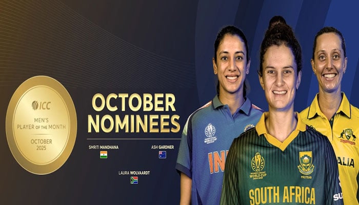 مینز اور ویمنز پلیئرز آف دی منتھ کیلئے نامزدگیوں کا اعلان، پاکستان کے نعمان علی بھی شامل