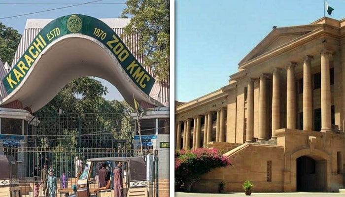 — فائل فوٹو