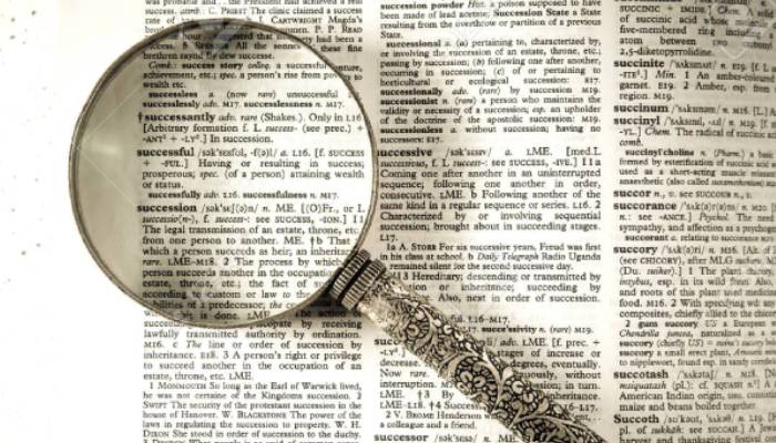 Collins Word of the Year 2025 revealed: Everything you need to know