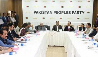 پی پی کا ایگزیکٹو مجسٹریٹس اختیارات کے آرٹیکل پر غور